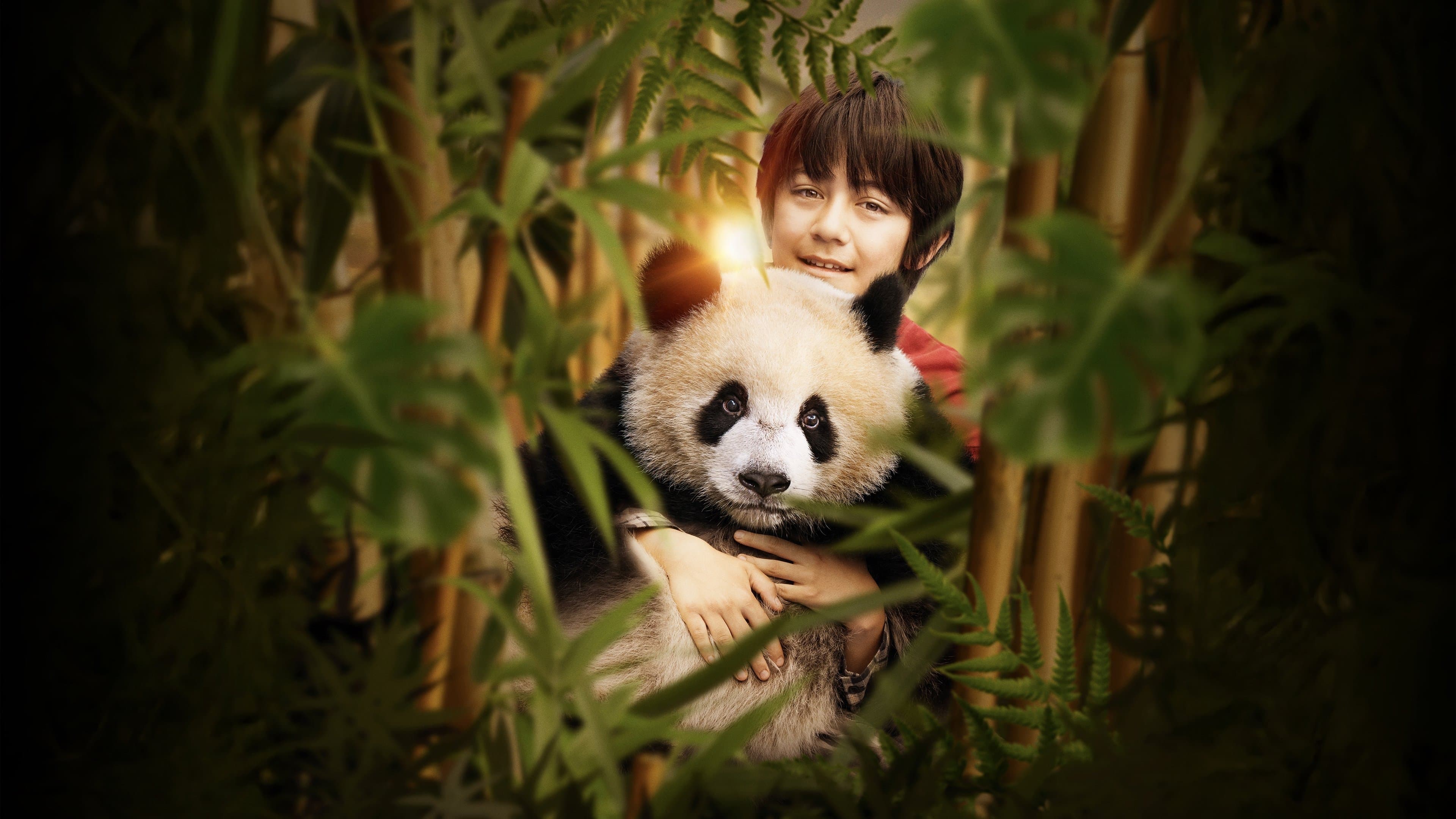 MOON IL PANDA